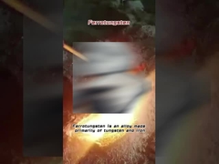 フェロタンステン